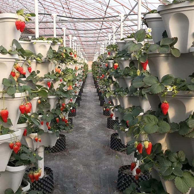 Strawberry Vertical Planters, 3 Tiered Stacking Tower Garden, Stackable Herb Vegetable Planters with Movable Casters and Bottom Saucer Indoor and Outdoor - White