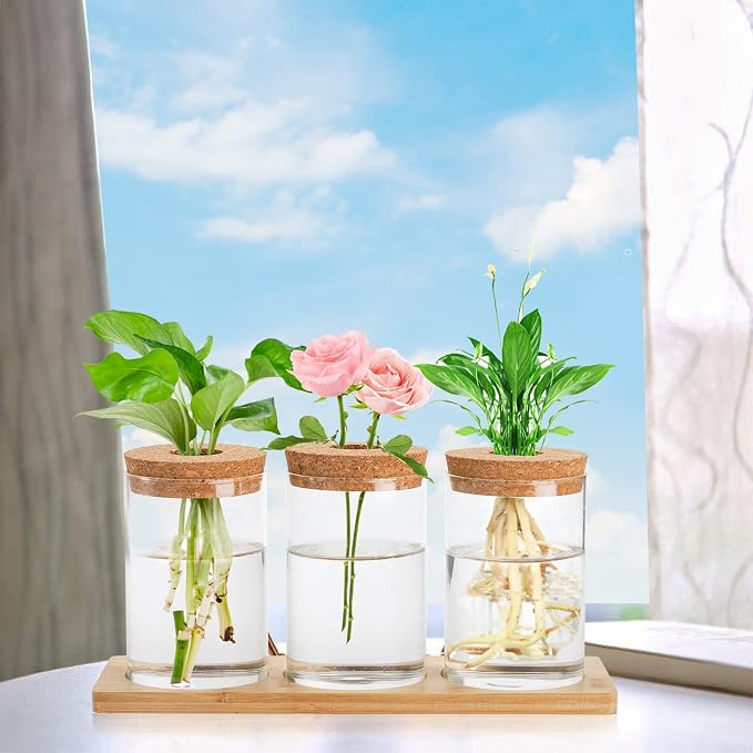 Lawei 3 Pcs Plant Terrarium Propagation Stations, Tabletop Glass Water Planting Glass Vase with Wooden Tray, Clear Jars Containers for Grow Hydroponic Plants Home Office Decoration