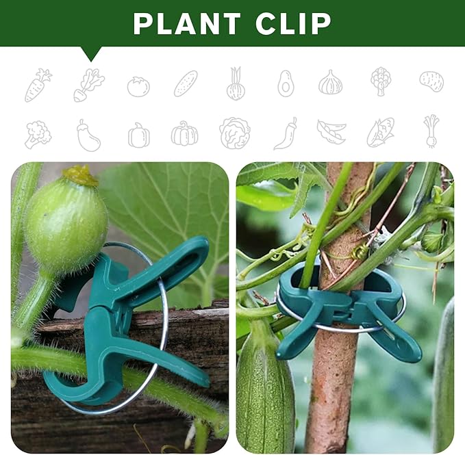A Plant Clamp Used for Climbing Plants,Horticultural Clip Used to Support Climbing of Flower Stems, Vines, Vegetables, and Tomatoes,Vine Clip for Garden Vine Training (Green, 60 small60 Big)