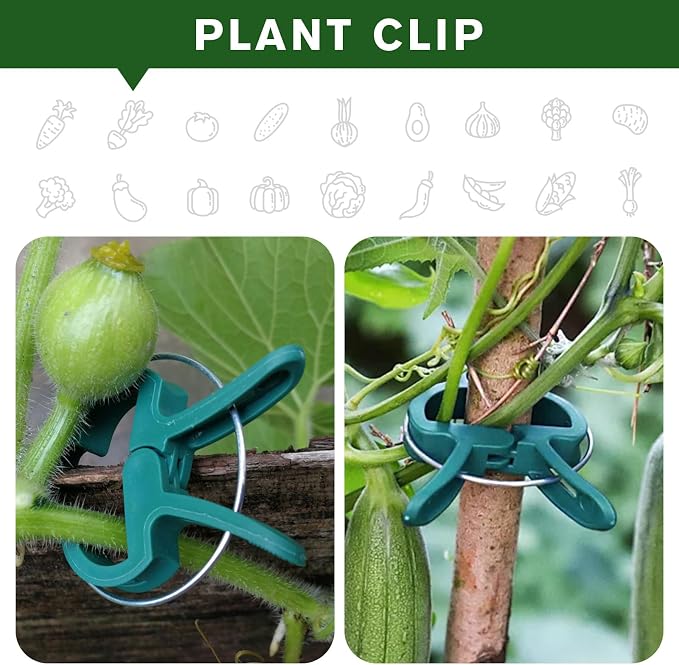 A Plant Clamp Used for Climbing Plants,Horticultural Clip Used to Support Climbing of Flower Stems, Vines, Vegetables, and Tomatoes,Vine Clip for Garden Vine Training(Green, 60 Big)