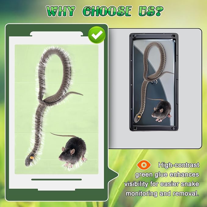Qualirey 2 Pack Snake Glue Trap, 28 x 14 Upgraded High Contrast Green Glue Snake Sticky Boards for Inside Outside, Pre Scented Non Toxic Adhesive Traps with Enhanced Stickiness for Mouse Rat Lizard