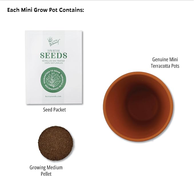 Buzzy Seeds Bright Series Grow Kit, Assorted 12-Pack - Mini Terracotta Pot Grow Set - Complete Indoor/Outdoor Gardening Kit with Seeds, Coconut Husk Growing Medium & Genuine Pots - 100% Grow Guarantee