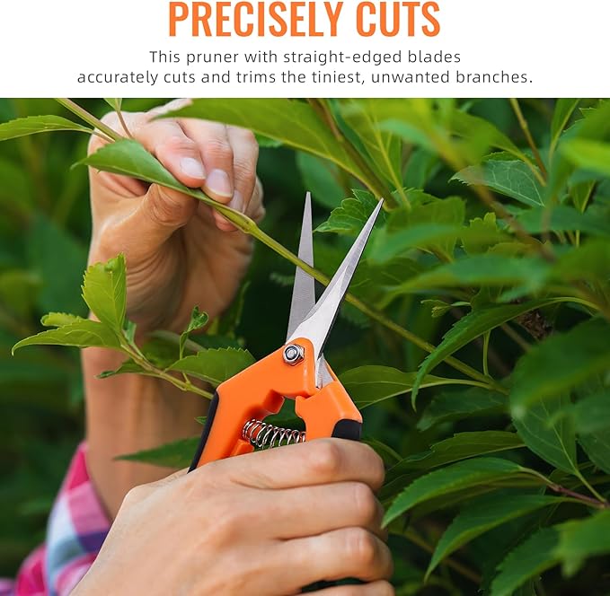 4 Pack Pruning Shears, 6.5 Inch Garden Scissors Gardening Hand Pruning Snips with Straight Stainless Steel Precision Blades for Gardening Flower Plant Precise Trimming and Pruning Maintenance