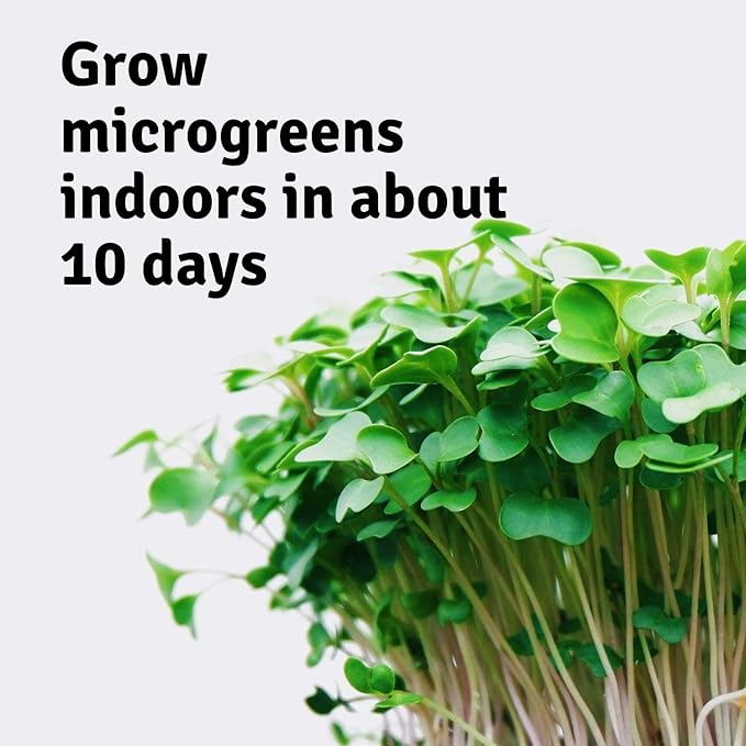 Mini Microgreens Growing Kit - Pea Shoots - Grow Your Own Organic Gourmet Micro Greens Indoors: Salad, Sandwich & Garnish - Easy & Fun - Great Gift or Stocking Stuffer (Pea Shoots)