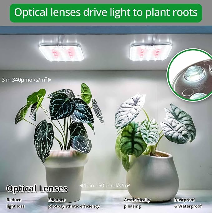 Full Spectrum LED Grow Light for Indoor Plants, 2 Panels 10W with 6/12/16h Timer Dimmable Plant Lights for Flower Veg Plant Growth USB, Netural White, 2-Pack