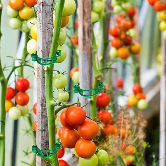 100PCS Green Plastic Support Clips, Tomato Clips, Garden Clips, Trellis Clips, Vine Clips for Climbing Plants to Prevent Tomatoes from Pinching or Falling Off