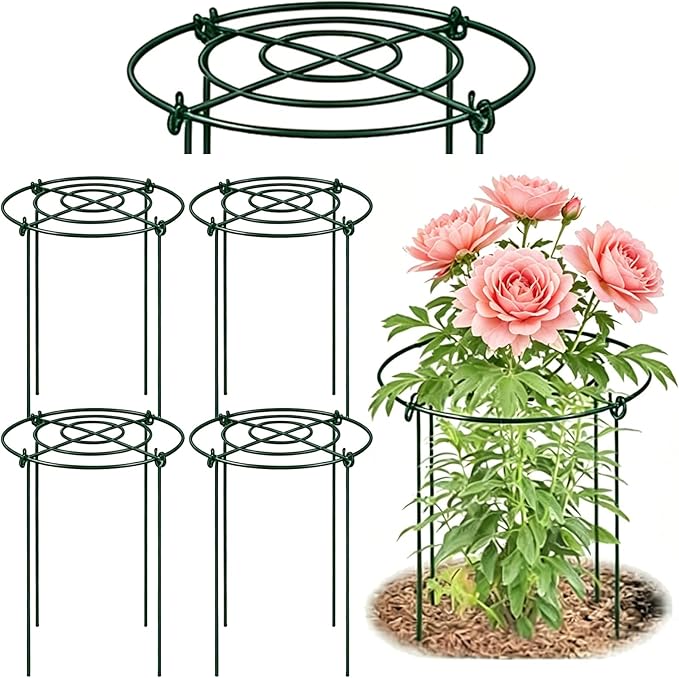 DAYUMKOU 4 Pack Peonies Cages and Supports, 11.5" Wide x 16" High Plant Support Stakes, 4 Legs Plant Cages & Supports with Removable Grid for Peonies Roses Tomato Hydrangea Strawberry