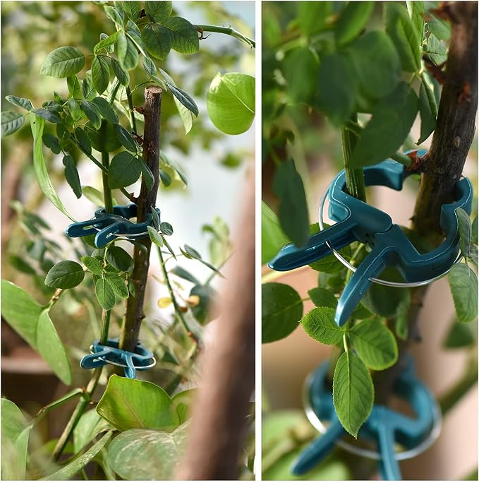PERSZEN Plant Support Clips, 120 PCS Gentle Flower Plant Clamps for Supporting Vine Climbing Plants, Gardening Lever Loop Gripper Clips Help Stems Vines Grow Straight Upright, 2 Sizes in one Pack