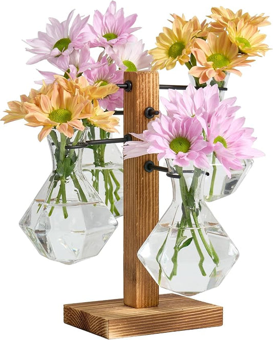 Plant Propagation Stations with Wood Stand, Plant Terrarium for Home Office Garden Decor, Gardening Gifts for Plant Lovers, 4 Glass Propagation Vases (Diamond Shape)