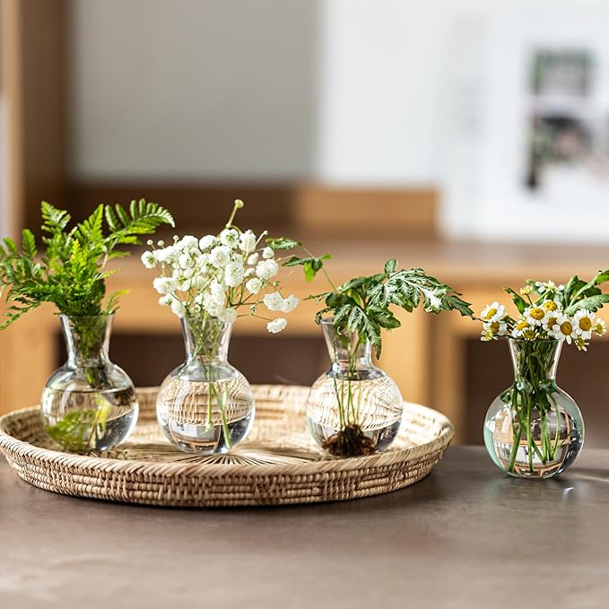 Plastic Propagation Vases (4 Bulbs),Desktop Plant Terrarium for Indoor Plants - Hydroponics Containers for Home Office Desk Decor, mini Gardening Gifts for Women Who Love Plants (4PCS)