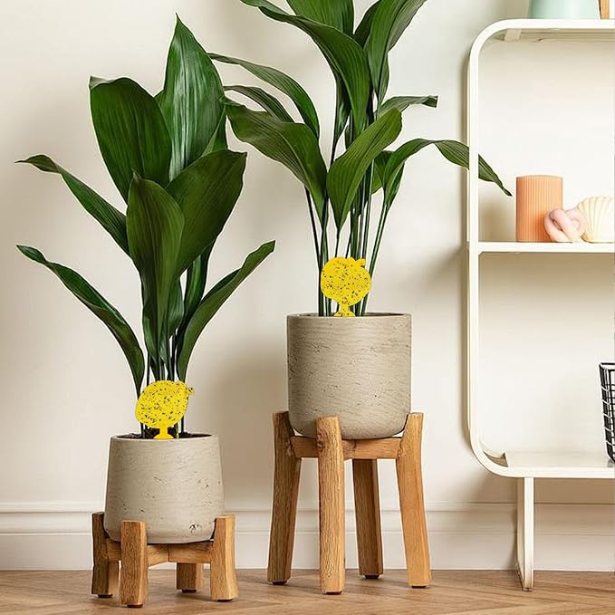 60 Pack Fruit Fly Traps Fungus Gnat Traps, Fruit Shape Yellow Sticky Bug Traps for Indoor Outdoor Plants, Dual-Sided Sticky Traps for Whiteflies, Aphids & Flying Insects