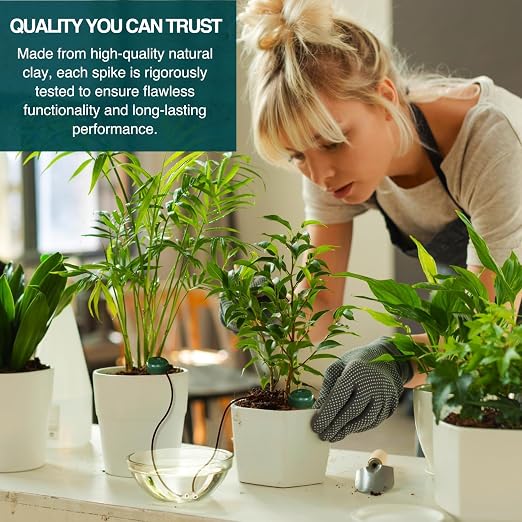 Blumat Classic Self-Watering Stakes - Prevents Overwatering and Underwatering for Healthy Growth While You are Away - Ideal for Indoor Plant Watering, 12 Pack, w Adapter