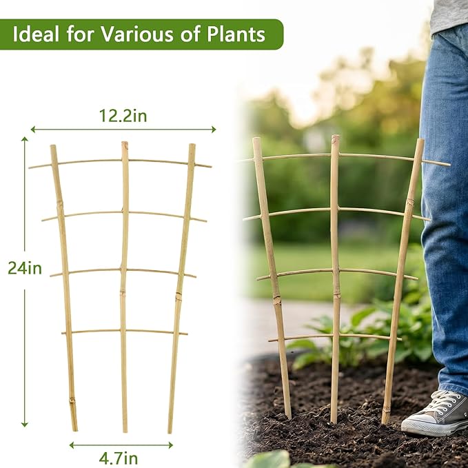 Avalution 10 Pack Bamboo Trellis for Climbing Plants, 2 FT Garden Ladder Trellis for Potted Plants Indoor, Fan-Shaped Small Plant Support Trellis for Houseplants Ivy Hoya Vine Monstera