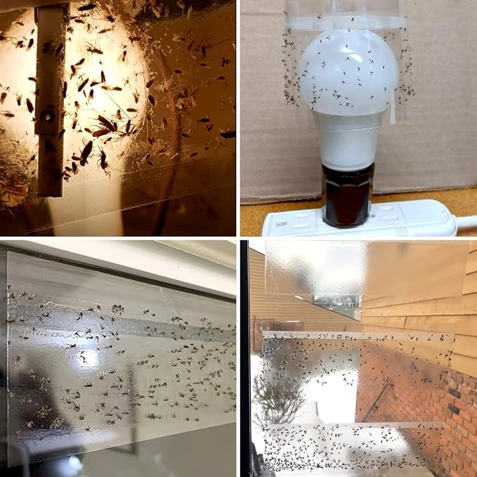 LFSYS 100 Pack Window Fly Trap, Fruit Fly Traps for Indoors, Fly Paper Sticky Strips, Fly Traps for Indoors Bug Catcher Clear