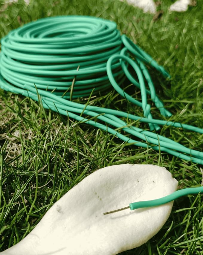 Plant Ties for Climbing Plants,Garden Wire for Plants Training,Soft Plant Ties for Supporting Tomatoes,Cucumbers, Roses,Vines Indoor or Outdoor (100 Feet,Green,Diameter 2.5mm)