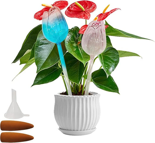 2 PC Plant Watering Globes Tulips, Glass Water Globes for Plants Plant Watering Globes Tulips Insert Spikes Drip Devices Water Spikes for Indoor Plants