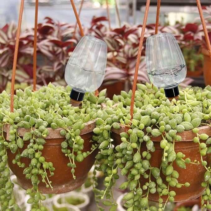 Plant Watering Spikes Globes,Watering Bulbs for Outdoor Plants,Self Watering Planter Insert,Rose Shape Two Packs