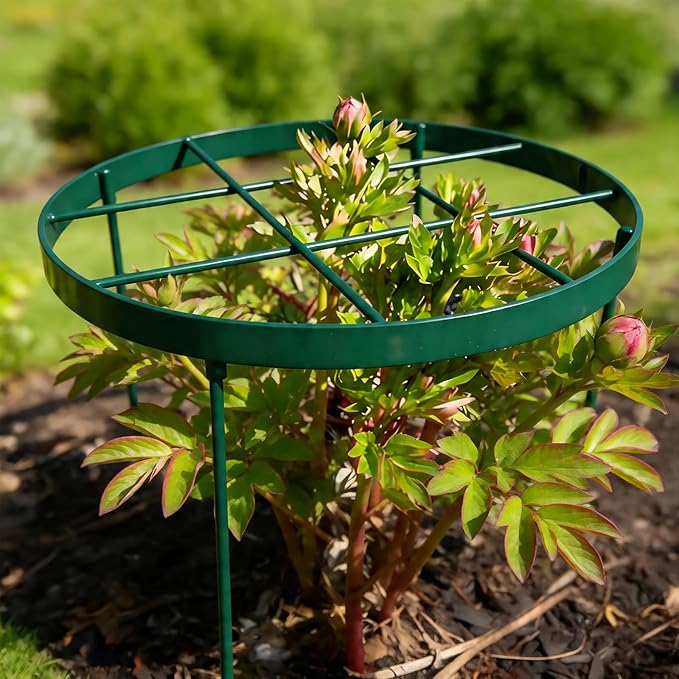 Peony Cage Outdoor Support - Durable Metal Garden Brace for Tall Plants, 18.9" Top, 23.6" Long Round Flower Rings, Easy Assembly, Perfect for Dahlias & Climbing Plants - Ideal Gardening Gift
