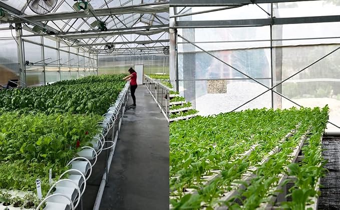 100PCS 1.75" Mesh Net Cup Pots Basket Hydroponics System Supplies Aquaponics Seed Growing Media Black