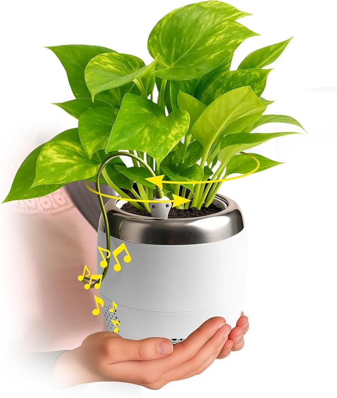 Smart Robotic Planter for 4” Potted Plants- Pure Ivory White | Interactive Moving & Dancing Flowerpot with Bluetooth Speaker | Touch Responsive for Real Indoor Plants | Custom Voice Record