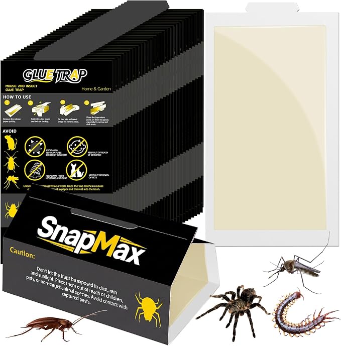 Qualirey 150 Pack Large Mouse Traps Bulk Strong Sticky Mouse Insect Glue Board Traps Green Indoor Home Sticky Pest Control Adhesive for Catching Rats Rodents Cockroaches Bugs, Unscented (Black)