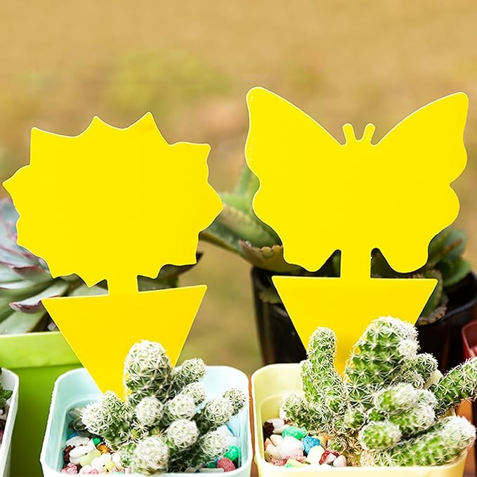 Yellow Fruit Fly Sticky Trap 136 Pack- Gnats Insect Traps for Indoor Outdoor, Double-Sided Sticky Insect Catchers Fungus, Fruit Flies, Whiteflies, Aphids, Leaf Miners