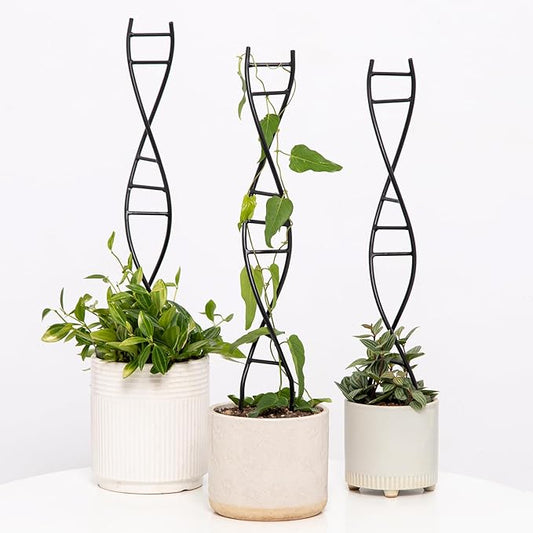Yohsnor 3 Pcs Indoor Plant Trellis Set - Black Metal DNA Design for Potted Plants, Small Houseplants & Climbing Support - Modern Home Decor & Vertical Garden Display - Perfect for Indoor & Outdoor Use