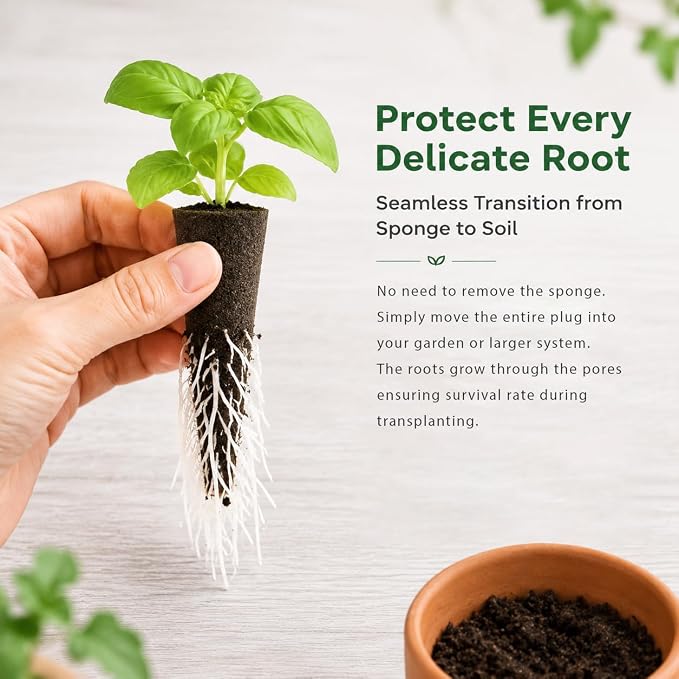 MAQIHAN 50 Grow Sponges for Hydroponics - Seed Pods for Garden Seed Starter Pods Growing System Plant for Seed Plugs Garden Cube Sponges Replacement