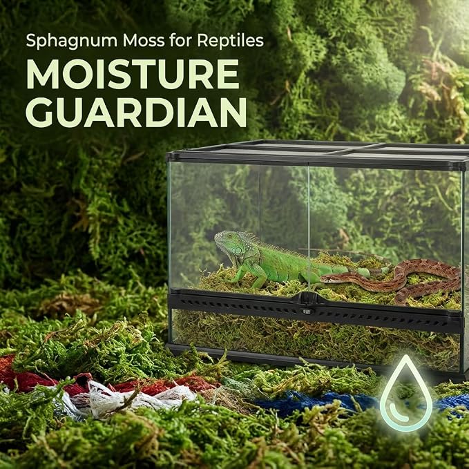 Sukh Sphagnum Moss for Reptiles - Terrarium Reptiles Moss Green Dried Peat Moss Habitat Bedding Moss for Snakes Turtle Frog Gecko and Other Reptiles Substrate (11.2, Ounces)