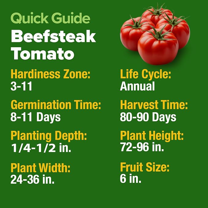 HOME GROWN Beefsteak Tomato Seeds 600+ Heirloom Non-GMO Seeds for Planting, High Germination, Indeterminate Extra Large Meaty Slicing Tomato,Prolific Garden Crop, Sandwich Ready (Solanum lycopersicum)
