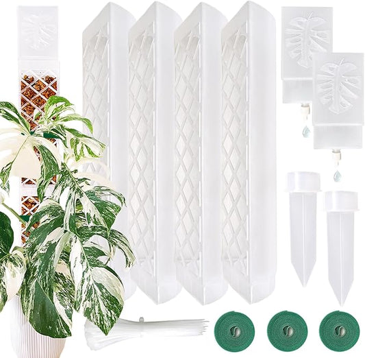 MIIIM 4 Pcs Self-Watering Moss Poles, D Shape Moss Pole Kit for Climbing Plants Indoor, Semi Transparent Monstera Plant Support, 2 Drip Cups and 2 Anchor Stake