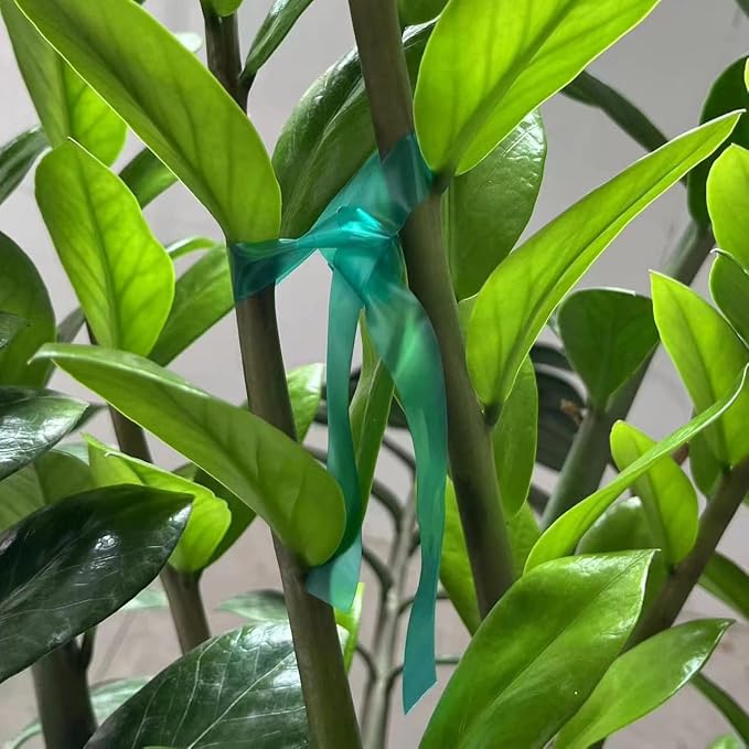 Garden Stretch Tie Tape, 1/2" Garden Tie Tape Roll, 1 Roll 150 Feet Plant Ribbon Green Vinyl Stake for Indoor Outdoor Patio Plants Branches Flowers