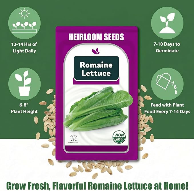 Romaine Seed Pods Kit for Hydroponics, 12 Pods Grow Anything Kit for Indoor Hydroponics Growing System, Hydroponics Supplies with 12 Grow Sponges, 12 Plant Baskets, 12 Pod Domes and Labels