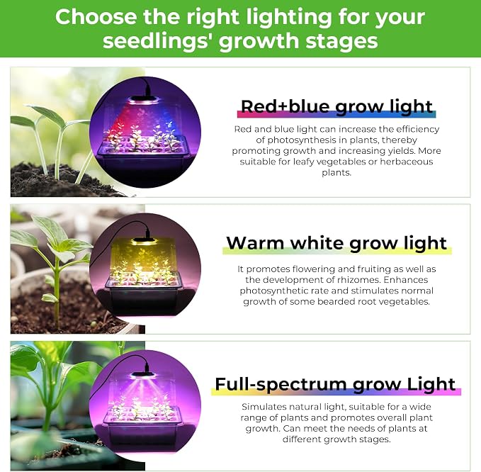 Seed Starter Tray with Grow Light, 6pcs Seed Starter Kits with Light and Humidity Domes, Timing Controller & Adjustable Brightness & 3 Light Mode, Indoor Seedling Starter Plant Germination Trays