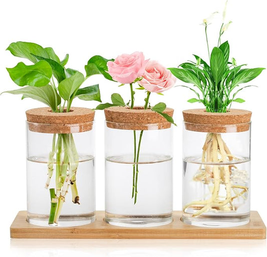Lawei 3 Pcs Plant Terrarium Propagation Stations, Tabletop Glass Water Planting Glass Vase with Wooden Tray, Clear Jars Containers for Grow Hydroponic Plants Home Office Decoration