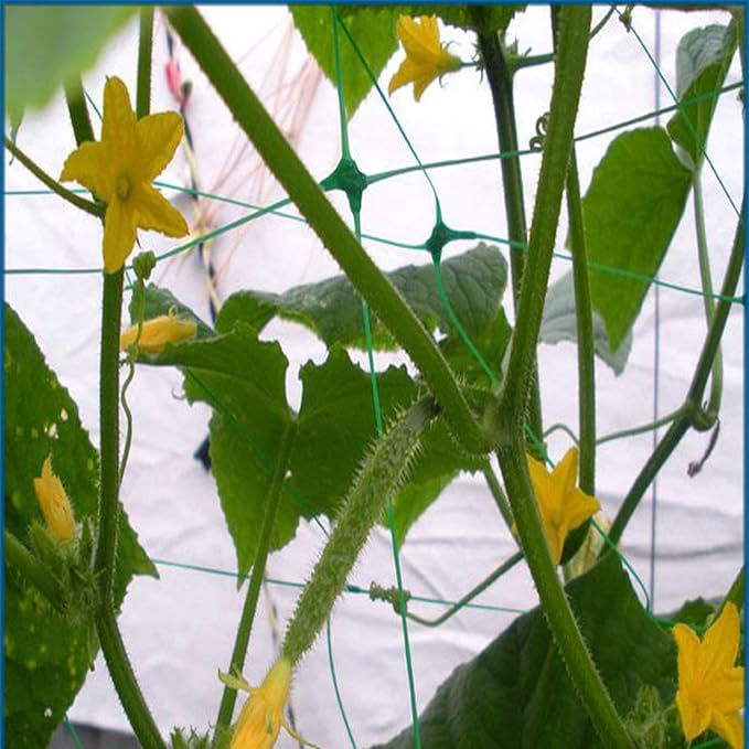 Green Trellis Netting 6.5x100 ft Heavy Duty Garden Trellis Netting Polypropylene Plant Support Garden Net for Climbing Vegetables Fruits Flowers for the Garden