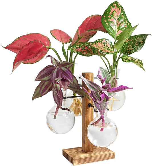 Plant Propagation Stations with Wood Stand, Plant Terrarium for Home Office Garden Decor, Gardening Gifts for Plant Lovers, 4 Glass Propagation Vases (Bulb Shape)