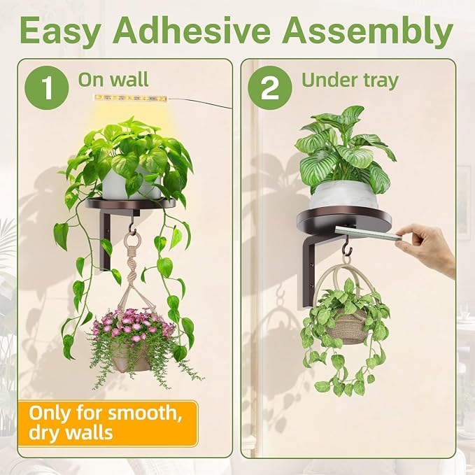 iDavosic.ly Wall Plant Holder with Grow Lights Set of 2 for Indoor Outdoor, Metal Hanger with 2 Hooks, Floating Flower Display Stand for Window, Space Saving & Easy to Assemble (Pots Not Included), Bronze