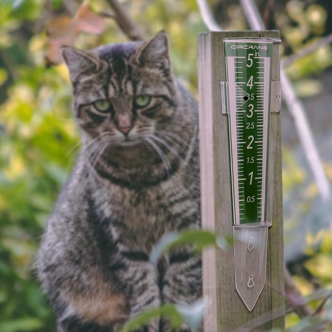 Circrane 5-Inch Capacity Outdoor Rain Gauge with Additional Hang Bracket& Stainless Steel Screws, Magnifying Scale and Numbers Design for Easy Read (Green)