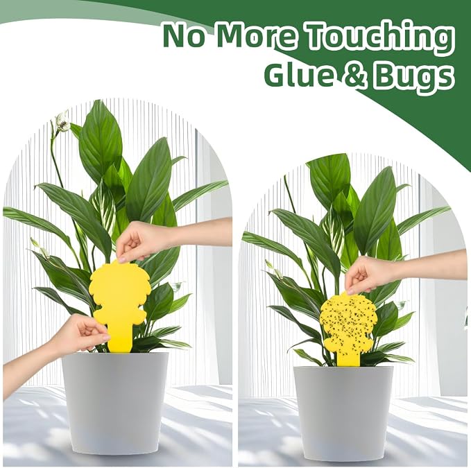 58 Pack Yellow Sticky Gnat Traps for Plants - Fungus Gnat Killer, Fruit Fly Traps for Indoors, Gnat Sticky Traps for Plants, Family Friendly Design, Ice Cream Shape