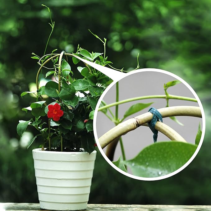 Cambaverd Bamboo Trellis, 16in Ladder-Shaped Trellis for Potted Plants, 3 Pack for Climbing Plants Indoor