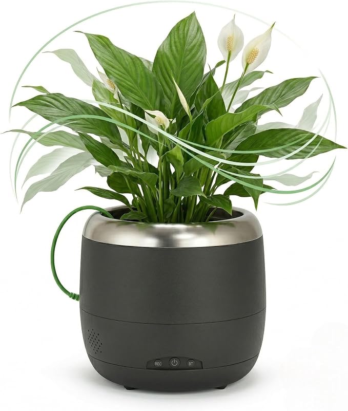 6" Smart Robotic Planter - Black | Interactive Moving & Dancing Flowerpot with Bluetooth Speaker | Touch Responsive Pet Planter for Real Indoor Plants | Custom Voice Record & Motion Sensors