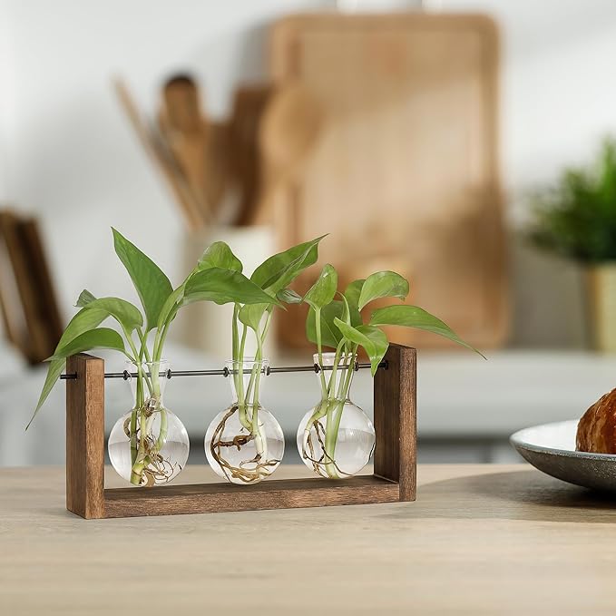 YIBOT Wall Hanging Planter Propagation Station 3 Bulb Glass Flower Vase | Plant Terrarium with Wooden Stand, Hydroponics Plants, Bathroom, Home Office Living Room Decor Gift