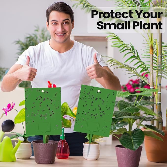 Qualirey 100 Pcs Green 6 x 8 Inch Sticky Traps for Gnats Dual Sided Fruit Fly Sticky Traps for Indoor and Outdoor Plant with Twist Ties and Plastic Holders for Fungus Gnats, Bug, Flying Insect