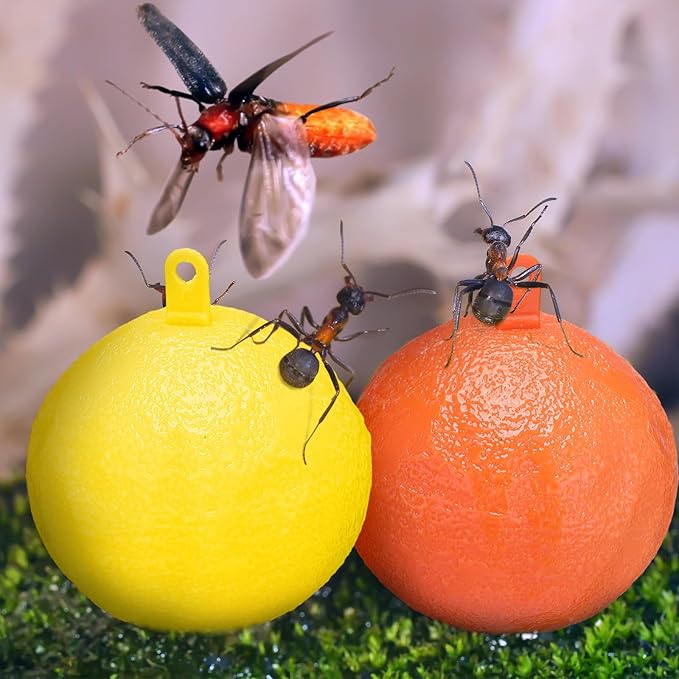 Qualirey Sticky Fruit Fly Trap Ball Adhesive Fly Catching Ball Sticky Glue Gnat Wasp Hornet Mosquito Bugs Flying Insects Traps Balls for Indoor Outdoor Kitchen Drain Garden (Yellow, Orange,10 Pcs)