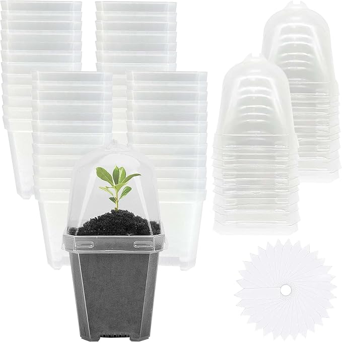 EBaokuup 50 Pcs Clear Plant Nursery Pots with Humidity Dome-4" Reusable Plastic Gardening Pot with Labels-Small Seed Starting Pots for Seedlings,Vegetables,Succulents,Cuttings