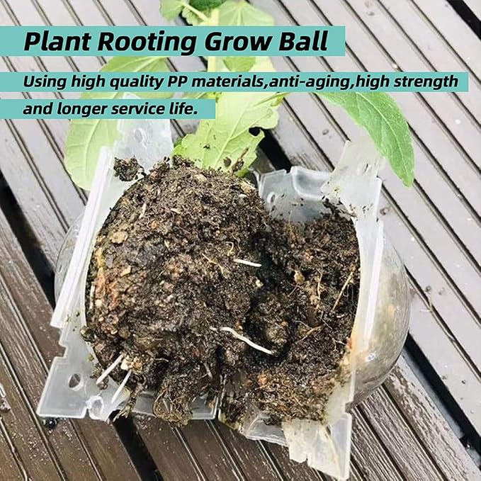 Air Layering pods, Reusable Plant Rooting Device Plant Rooting Grow Box High Pressure Propagation Ball Grafting Device Botany Root Controller Garden Plant Rooter Box (2S+2M+2L, Transparent)