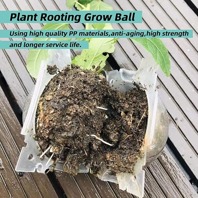 Air Layering pods, Reusable Plant Rooting Device Plant Rooting Grow Box High Pressure Propagation Ball Grafting Device Botany Root Controller Garden Plant Rooter Box (2″×6PCS), Transparent