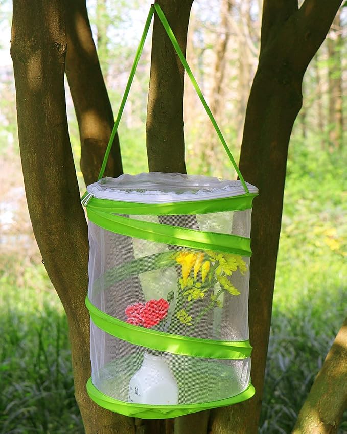 RESTCLOUD Pop-up Insect and Butterfly Habitat Cage Terrarium Clear Mesh Enclosure, See Through Easier 9" x 11" Tall