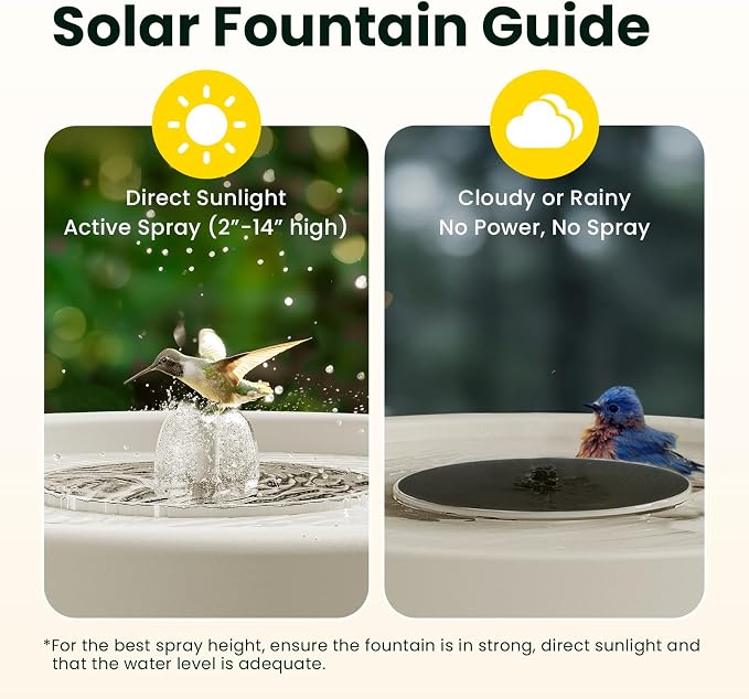 Birdfy Smart Bird Bath with Camera Solar Powered & Solar Fountain & Stand, Dual-Lens Camera for Bird Watching in Phone, Auto Capture Bird Videos, Ideal Present for Bird Lover (AI by Subscription)